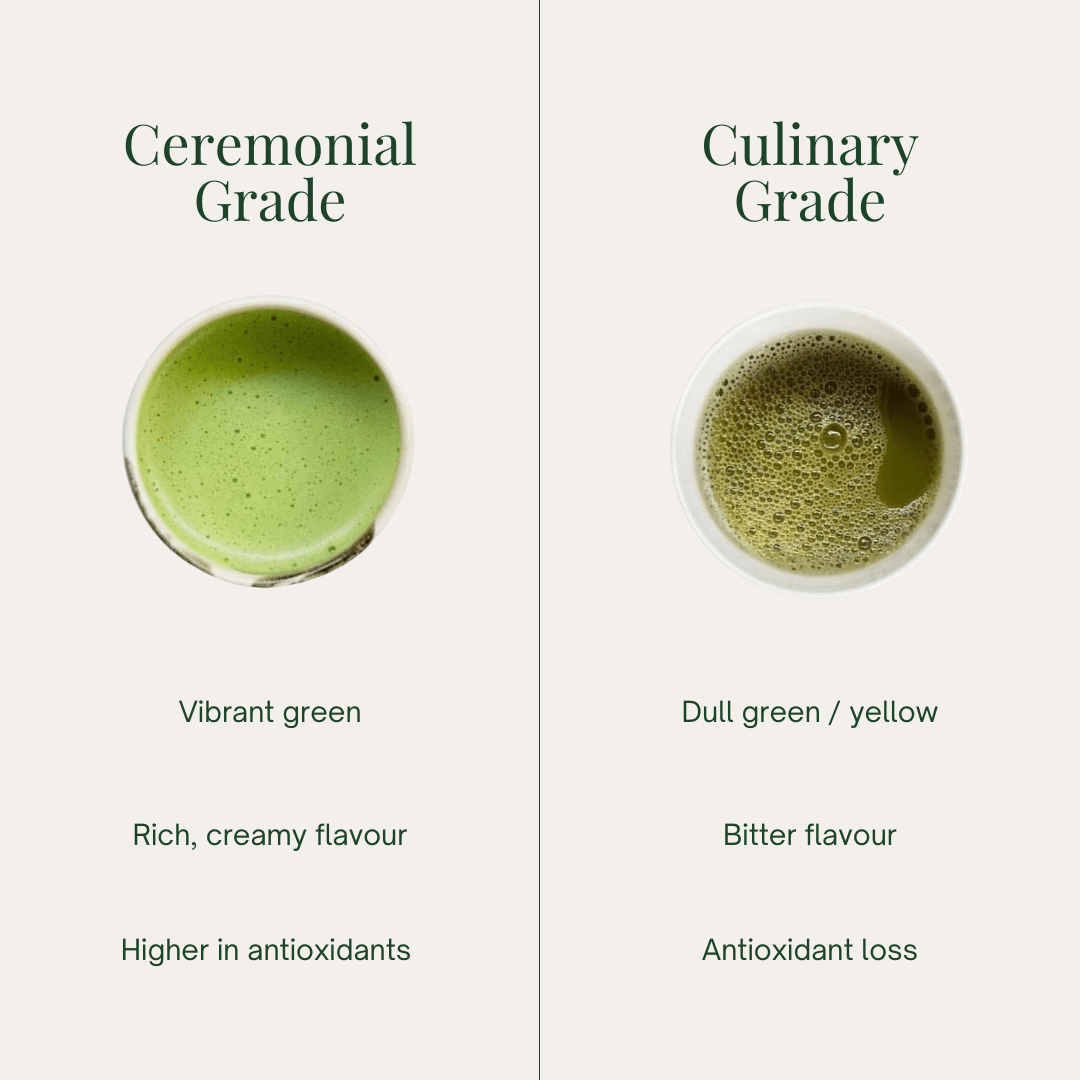 Tease Wellness Organic Ceremonial Matcha vibrant green tea with rich creamy flavor and high antioxidants comparison to.